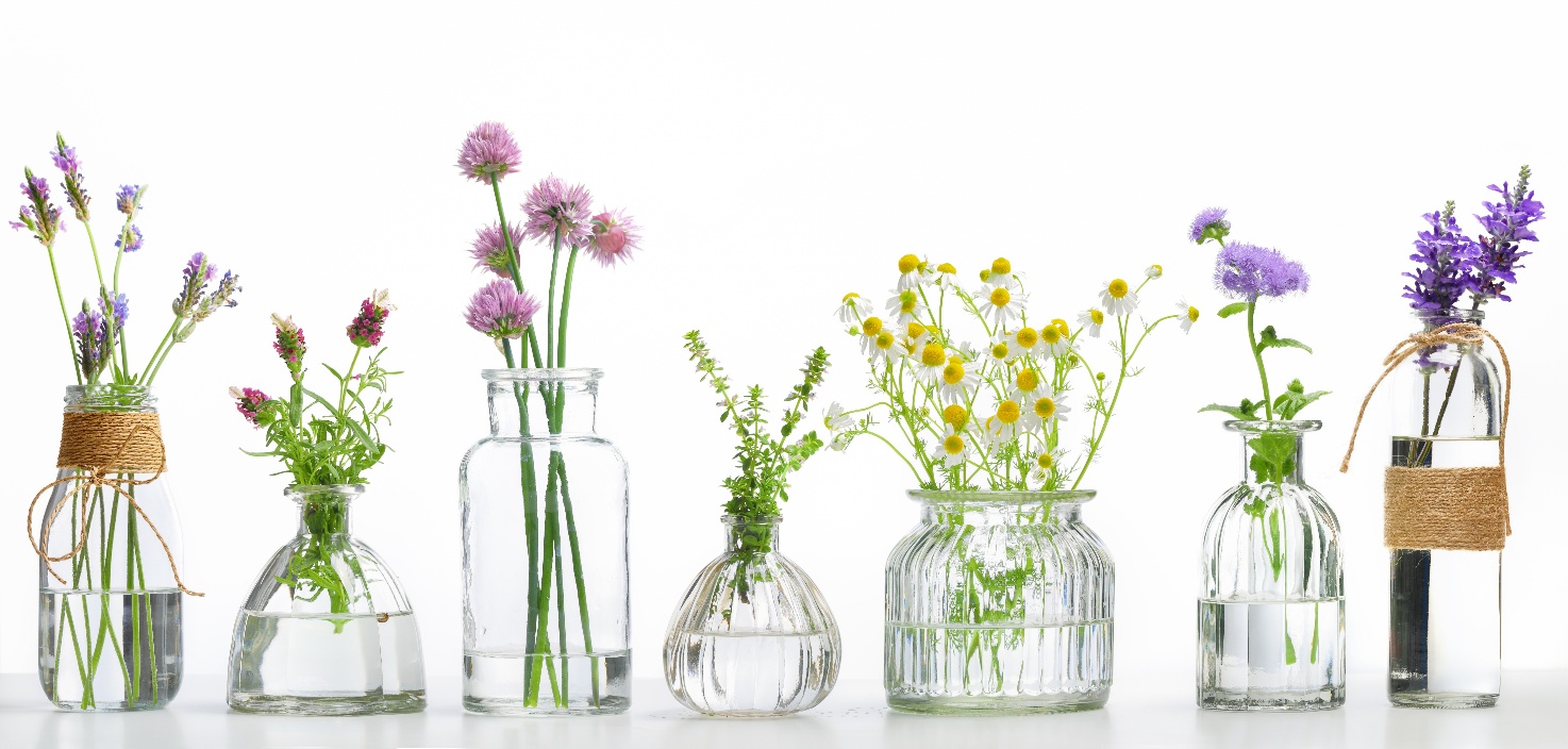 Urter og naturlige ingredienser